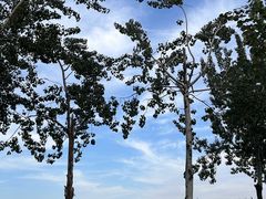 -汉长安城未央宫国家考古遗址公园