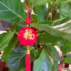 -ONE MORE变画