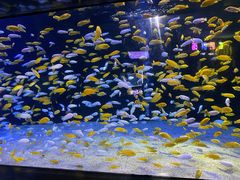 -成都浩海立方海洋公园