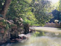 -兰亭风景区