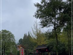 -青城甲(青城山店)