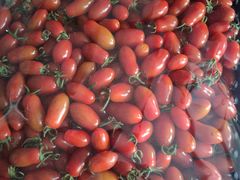 -岳各庄批发市场(西四环中路店)