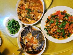 -煲来饱去冷水鱼