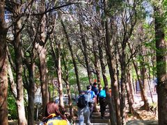 -崂山巨峰游览区