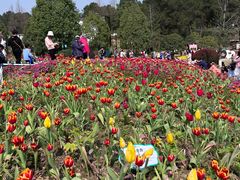 -铁山坪森林公园