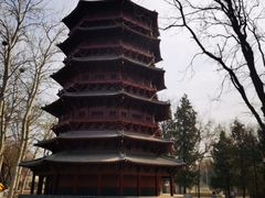 -北京世界公园