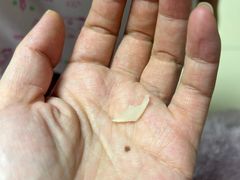 -紫光园·烤鸭(吕家营店)