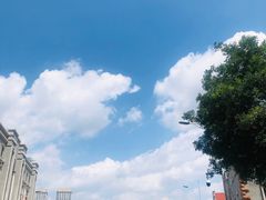 -老板恋上鱼(印象城店)