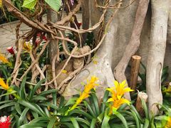 -北京植物园-展览温室