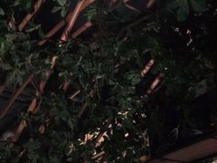 -番食园鲜食火锅(高新店)