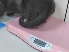 -贝康宠物医院·犬猫全科·小动物特色诊疗中心(东环路店)
