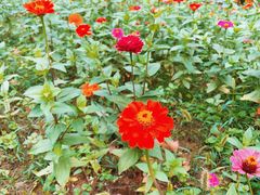-钟山体育运动公园
