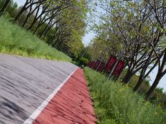 -上海长兴岛郊野公园