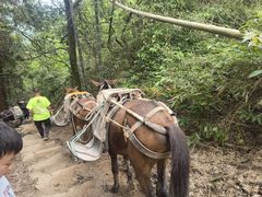 -会稽山峡洞漂流-上青古道