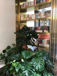 -Dr.U博士医疗美容医院