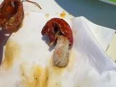 -堕落小龙虾.盆盆蟹(兰州旗舰店)