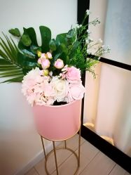 -简悦美塑·徒手点穴减肥