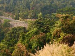 -火炉山森林公园