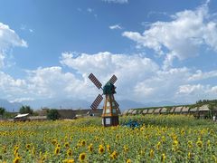 -镇北堡西部影城