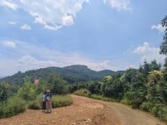 -长虫山生态公园风景林