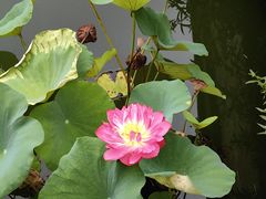 -北京市劳动人民文化宫(太庙)