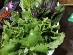 山茅野菜组合-滇釜火锅·能喝汤的火锅(车公庄店)