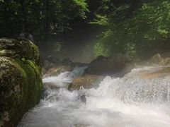 -本溪汤沟绿石谷森林公园