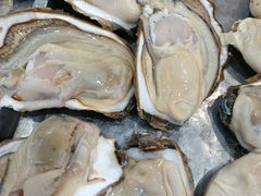 -抹直口特色菜馆(一店)