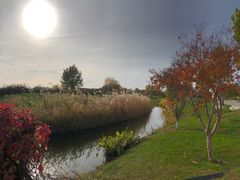 -安德鲁户外烧烤帐篷营地(马泉营店)