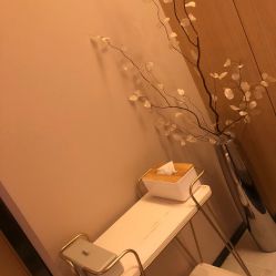 -恒美雅轩·品牌直营连锁