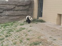 -石家庄市动物园