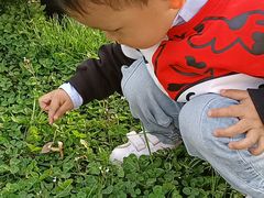 -云漫湖生态度假公园