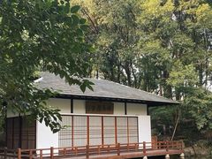 -新洲生态园