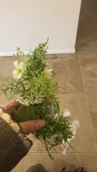 -WAVE SODA摄影工作室