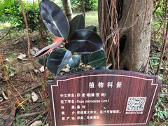 -白沙门生态公园