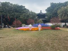 -荔湾湖公园