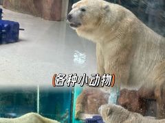 -哈尔滨极地公园