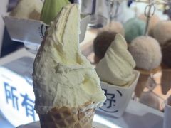 -野人牧坊Gelato(天津南开大悦城店)