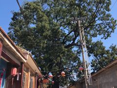 -玉渡山自然风景区