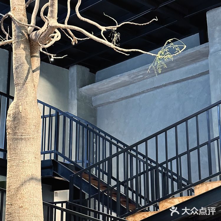 在室内大树旁边喝咖啡☕～自带热带花园的veins绿植咖啡店