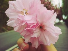 -仙海旅游度假区