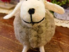 -春风·有糖(崇宁路店)