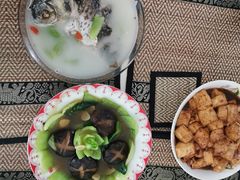 -爱月宝月嫂·育儿嫂(哈尔滨总店)