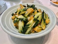 生炒奶白菜-香融府·烤鸭·家常菜(马家堡路店)