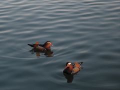 -北山街历史文化街区