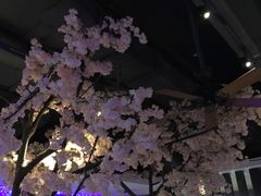 -蜜桃餐厅·江浙融合菜(荟聚购物中心店)