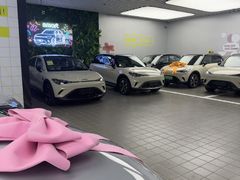 -上海浦东smart汽车全功能店(金桥店)