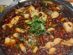 -万和源炝锅城·活鱼现炝(文艺北路店)