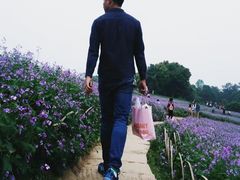 -保利石象湖景区