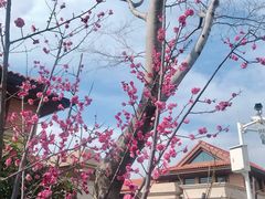 小区环境-太阳湖大花园钻石湾